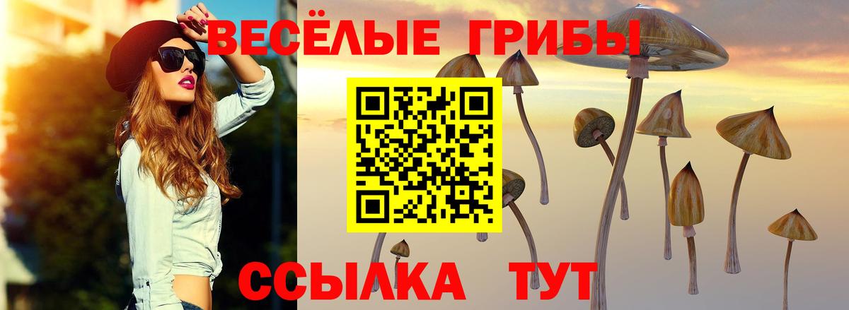Псилоцибиновые грибы ЛСД Россошь